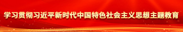 操逼强奸逼学习贯彻习近平新时代中国特色社会主义思想主题教育