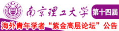 免费观看大骚逼南京理工大学第十四届海外青年学者紫金论坛诚邀海内外英才！